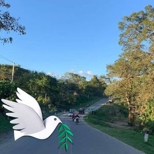 Meet your Posher, Martinez